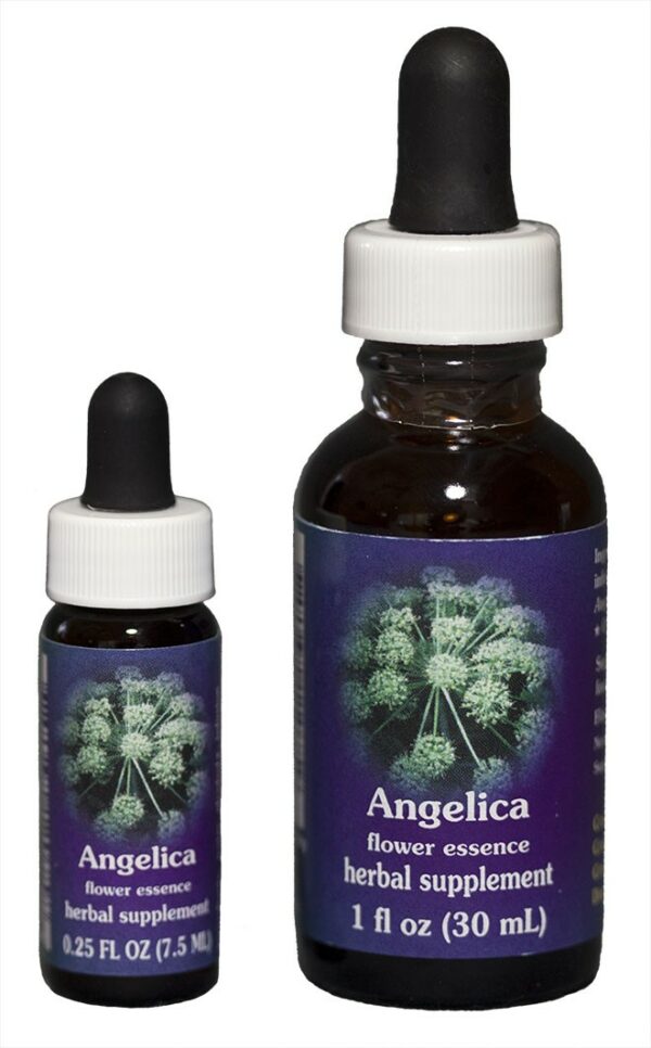 ANGELICA Kalifornische Blütenessenz FES