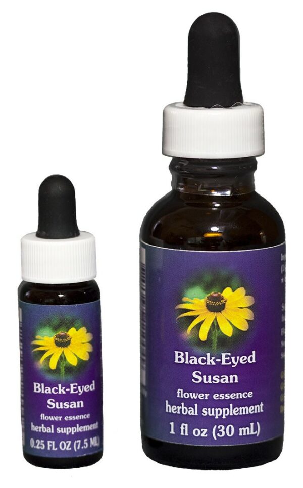 BLACK EYED SUSAN Kalifornische Blütenessenz FES – Bild 2