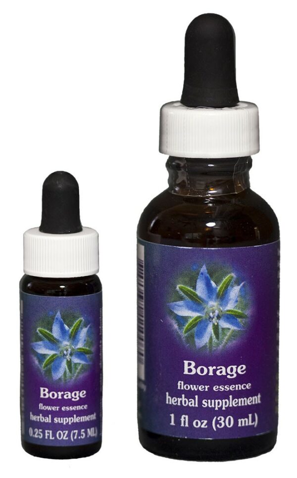 BORAGE Kalifornische Blütenessenz FES – Bild 2
