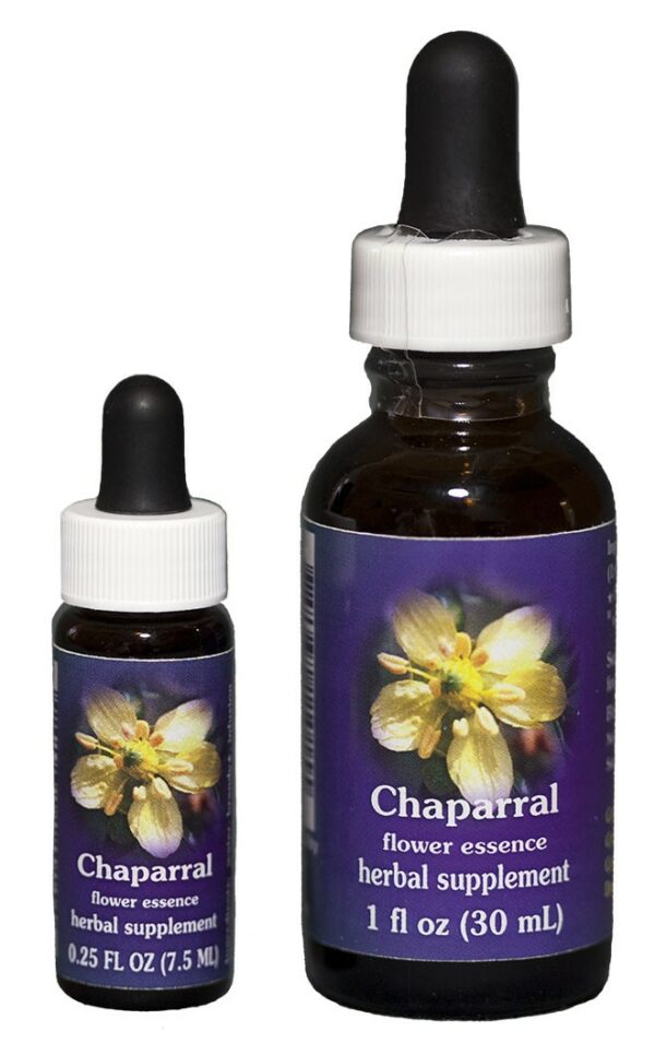 CHAPARRAL Kalifornische Blütenessenz FES – Bild 2