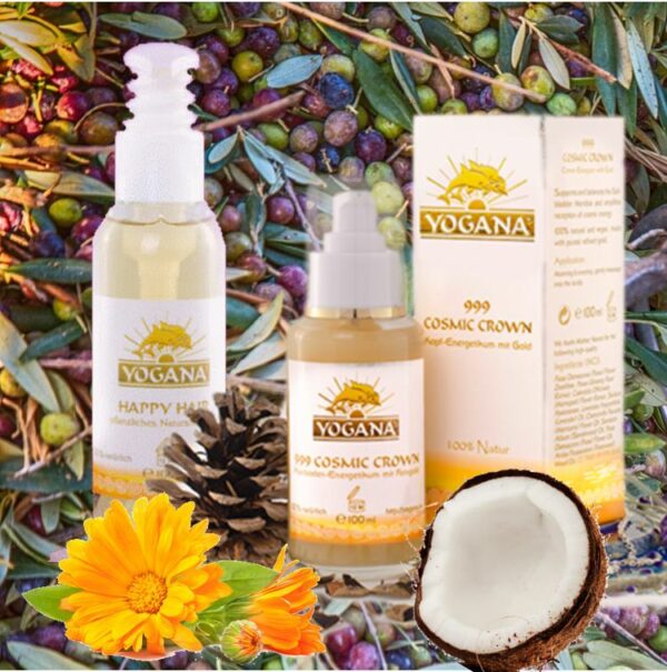 Delphinset 1 Basic YOGANA®– Mit 999 spagyrischem Gold und Kräutern der TCM