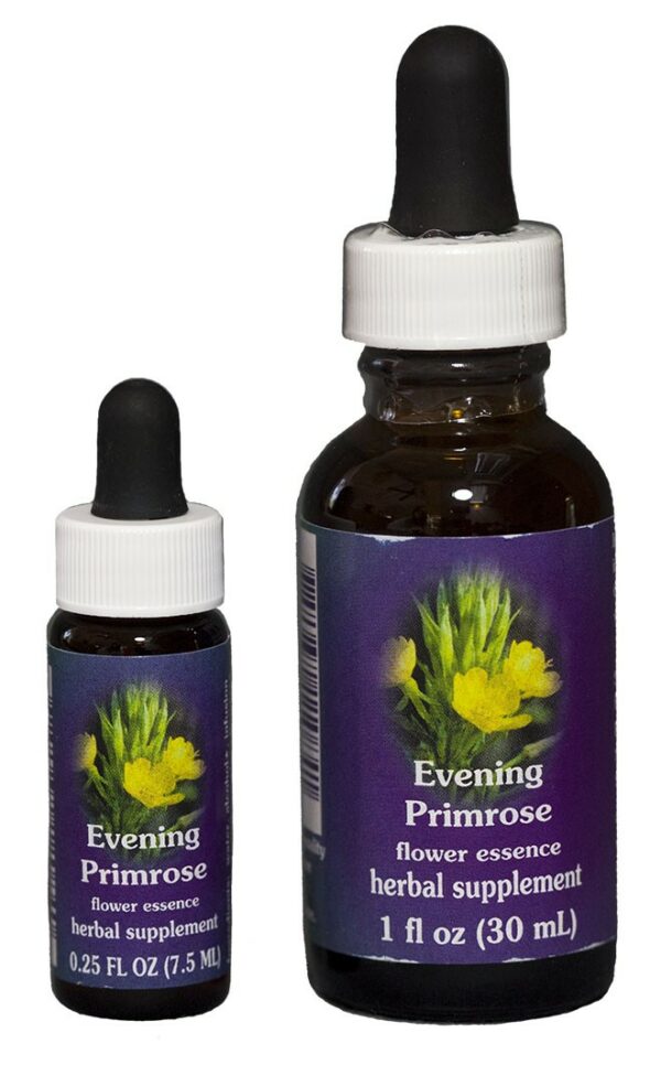EVENING PRIMROSE Kalifornische Blütenessenz FES – Bild 2