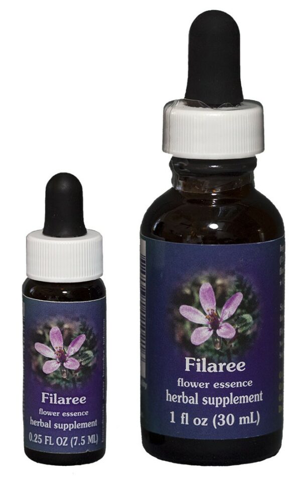 FILAREE Kalifornische Blütenessenz FES