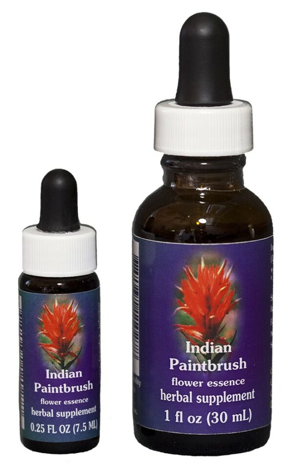 INDIAN PAINTBRUSH Kalifornische Blütenessenz FES – Bild 2