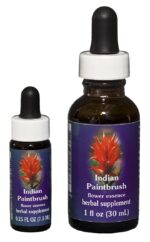 INDIAN PAINTBRUSH Kalifornische Blütenessenz FES