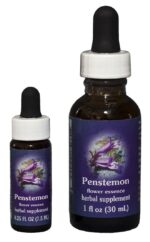 PENSTEMON Kalifornische Blütenessenz FES
