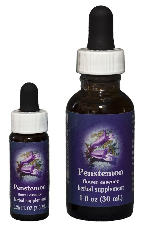 PENSTEMON Kalifornische Blütenessenz FES