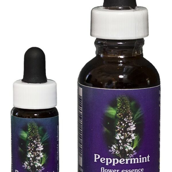 PEPPERMINT Kalifornische Blütenessenz FES
