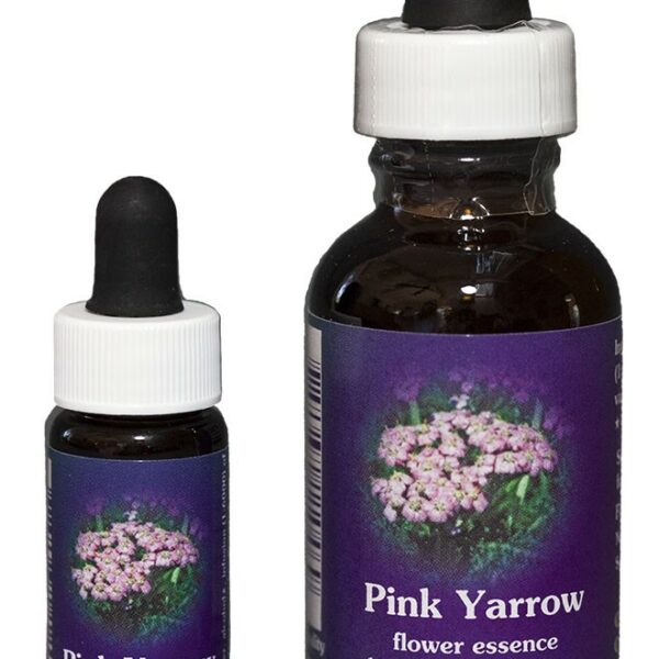 PINK YARROW Kalifornische Blütenessenz FES