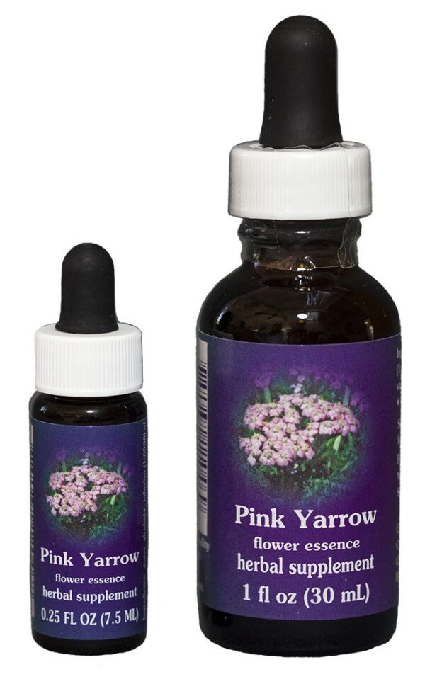 PINK YARROW Kalifornische Blütenessenz FES