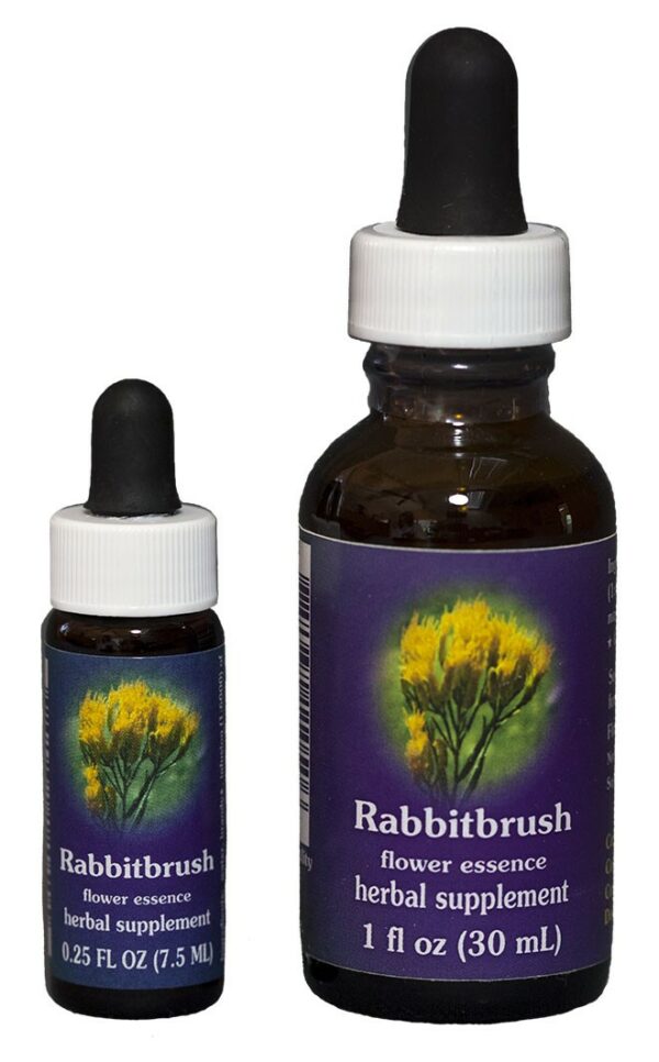 RABBITBRUSH Kalifornische Blütenessenz FES