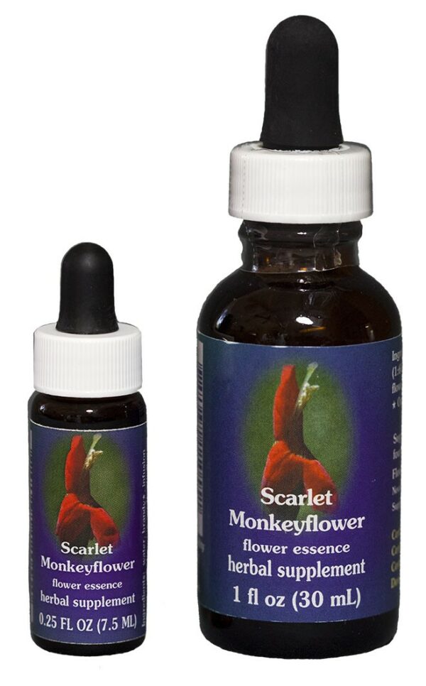 SCARLET MONKEYFLOWER Kalifornische Blütenessenz FES