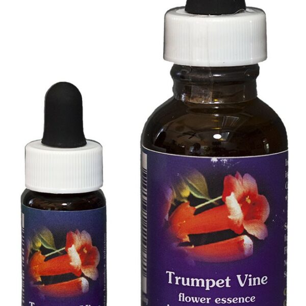 TRUMPET VINE Kalifornische Blütenessenz FES