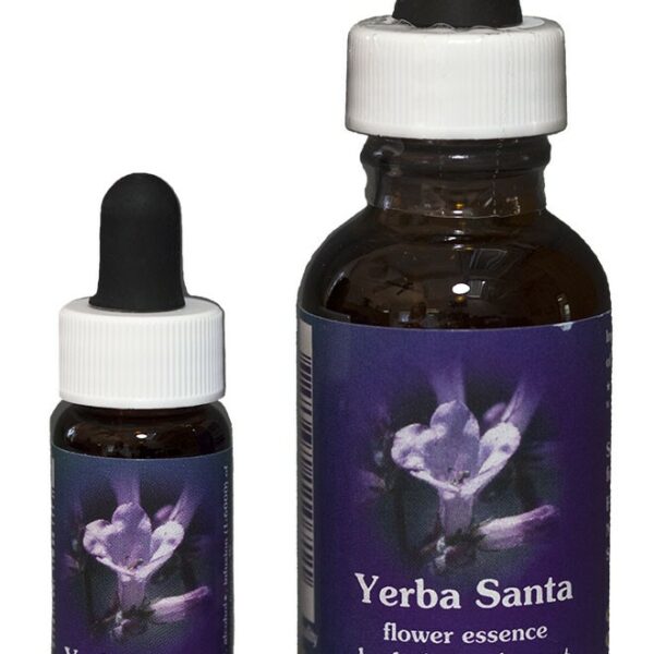 YERBA SANTA Kalifornische Blütenessenz FES